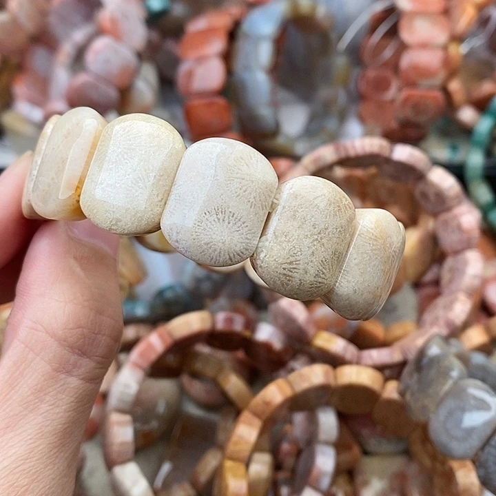 彩***鱼硅化玉颈饰未镶嵌