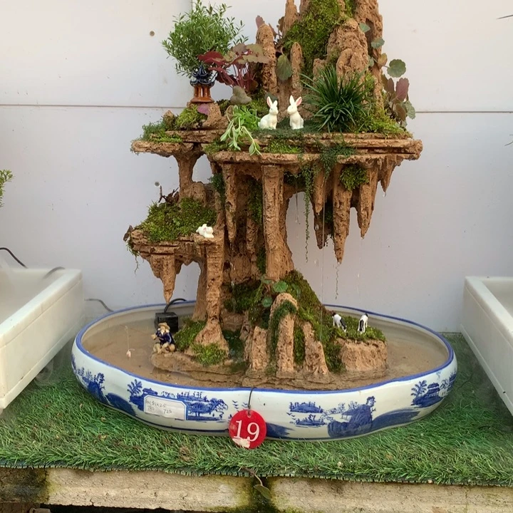 天然上水石吸水石盆景假山