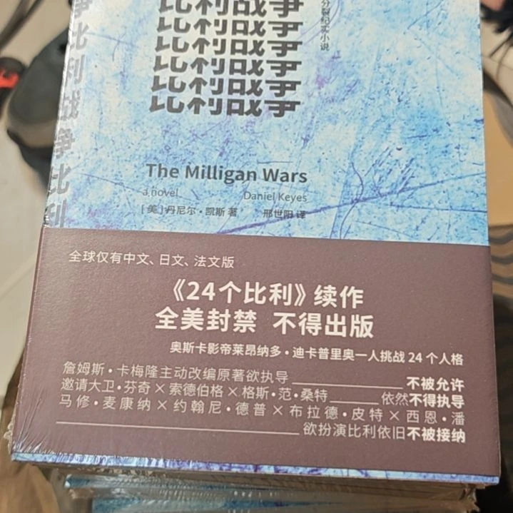 比利战争平装塑封库存书