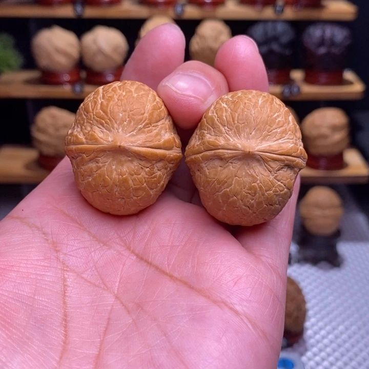 木质类云铁龙眼98号