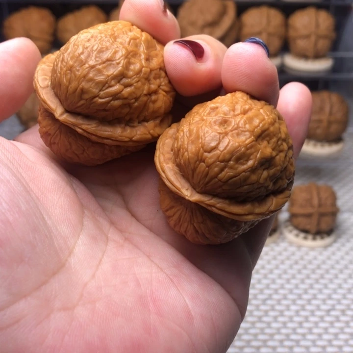 文玩核桃把件19太阳系元宝39尺