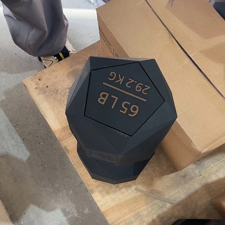 全新多边形29.2公斤哑铃一对