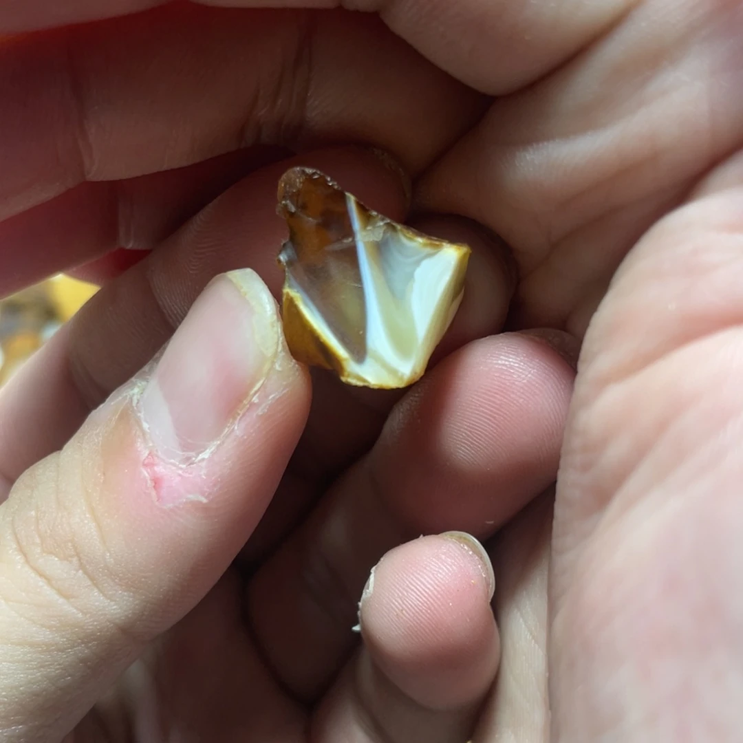 定制琥珀天然原矿