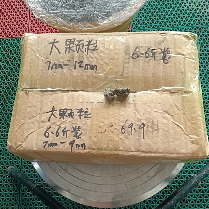 可***猪兰菌颗粒   大颗粒6.6斤