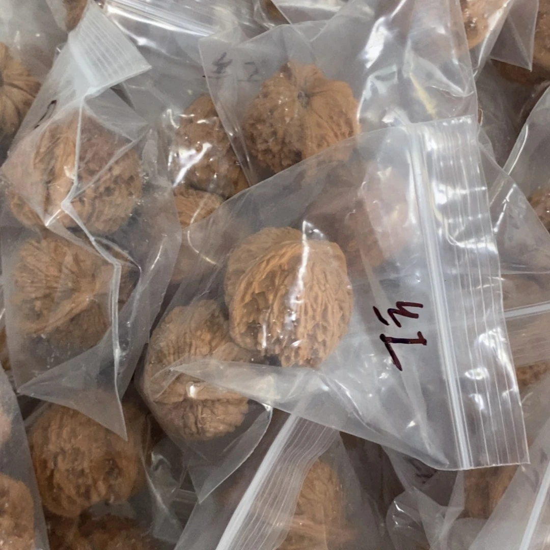 文玩核桃吊坠红狮子