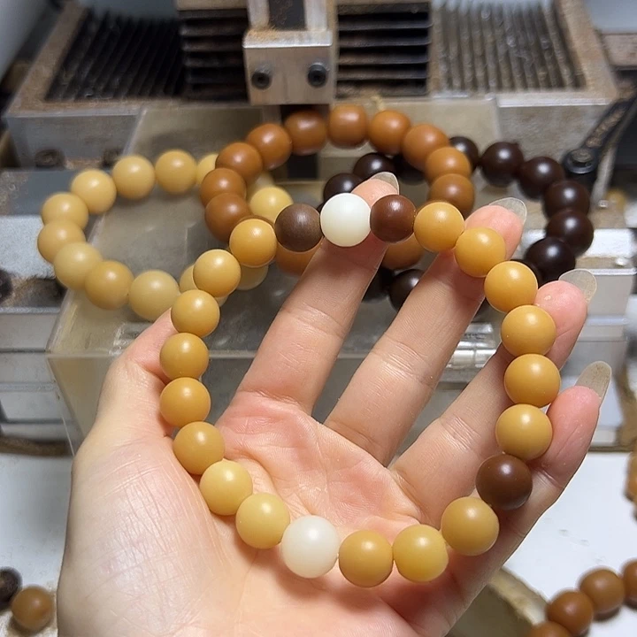 吊坠菩提根/象牙果