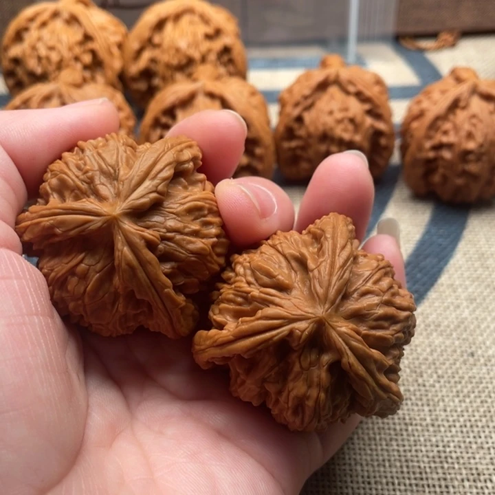 夜***苦石楠木白狮子43核桃