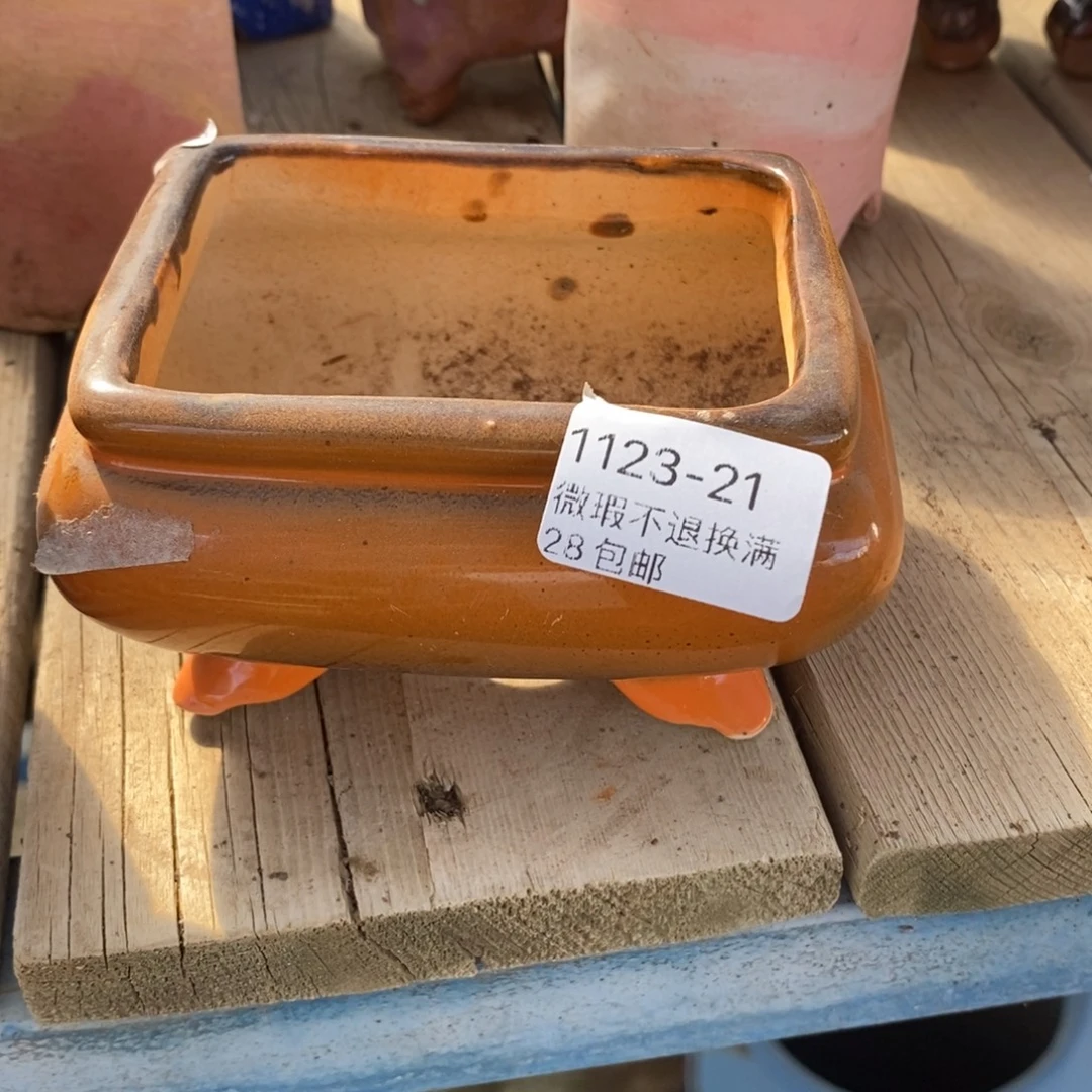 21号多肉盆口径8小可爱