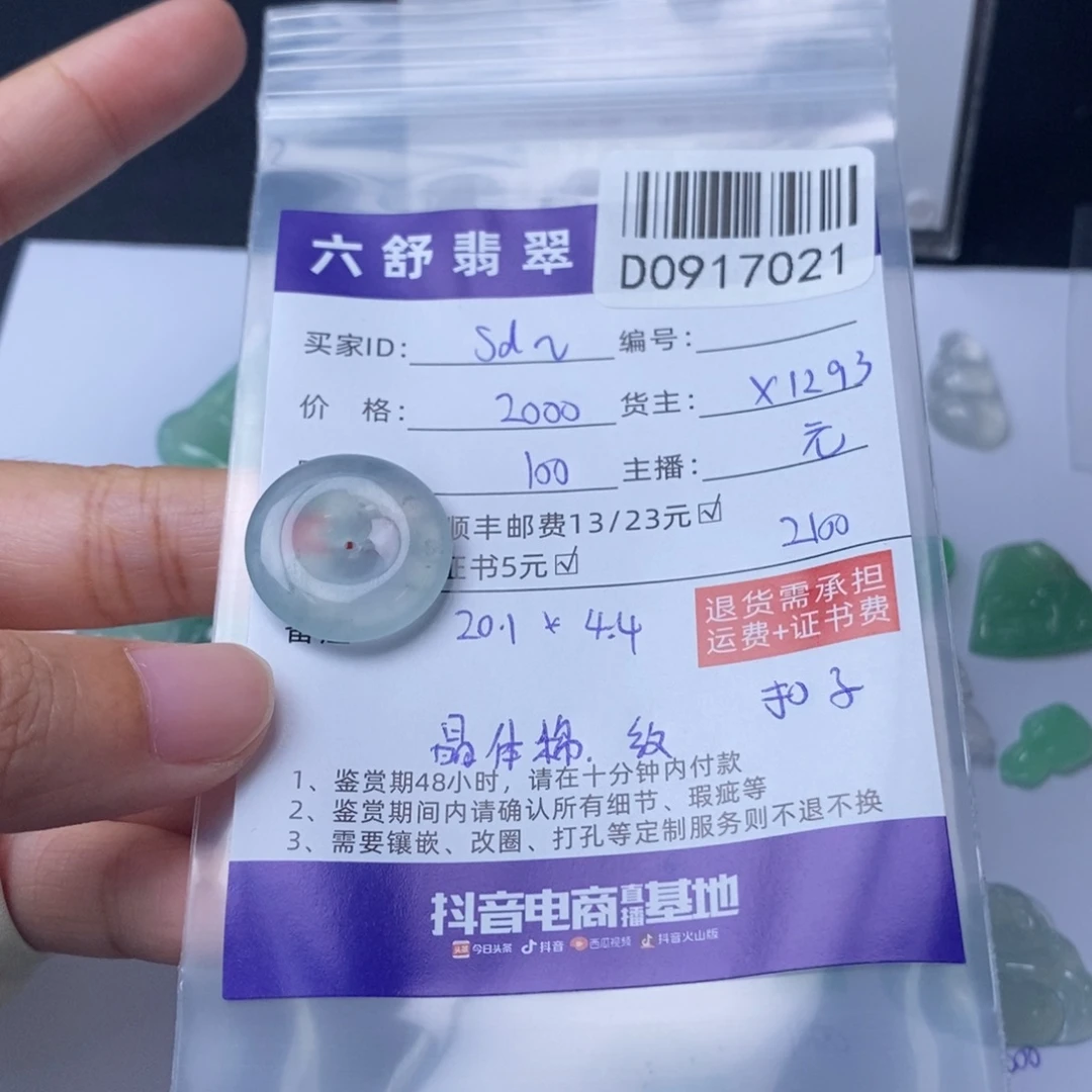S****未镶嵌挂件翡翠D0917021