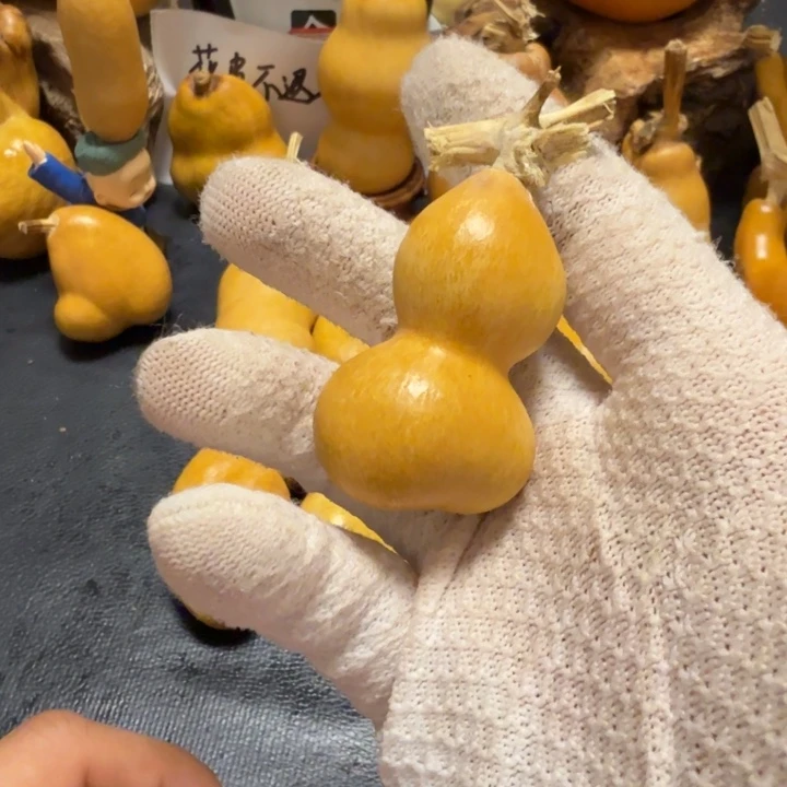 烨***华66……………………………………