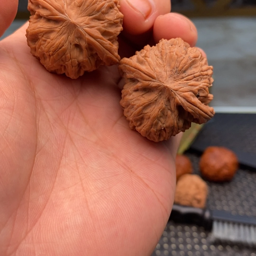 文玩核桃吊坠正磨9