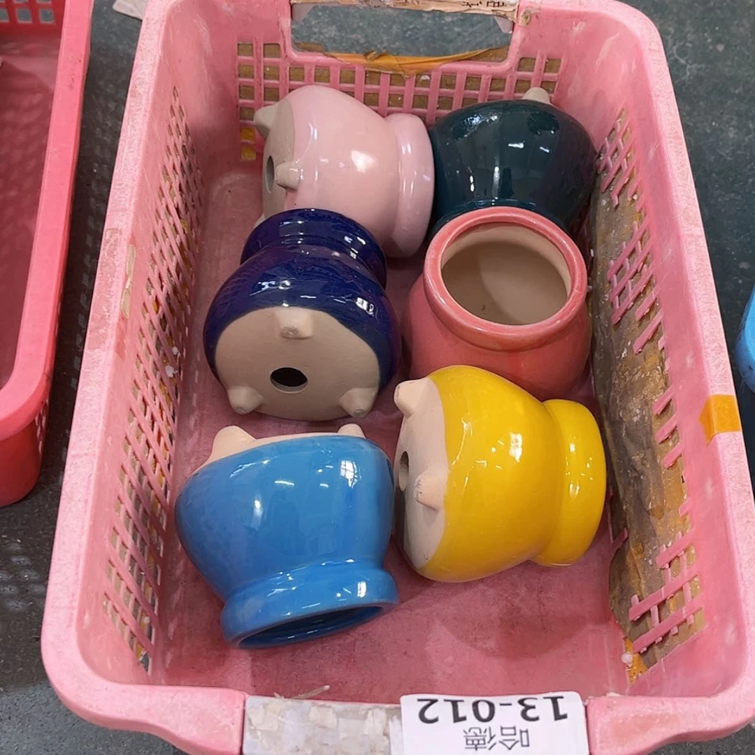 【闪购商品】红陶福利