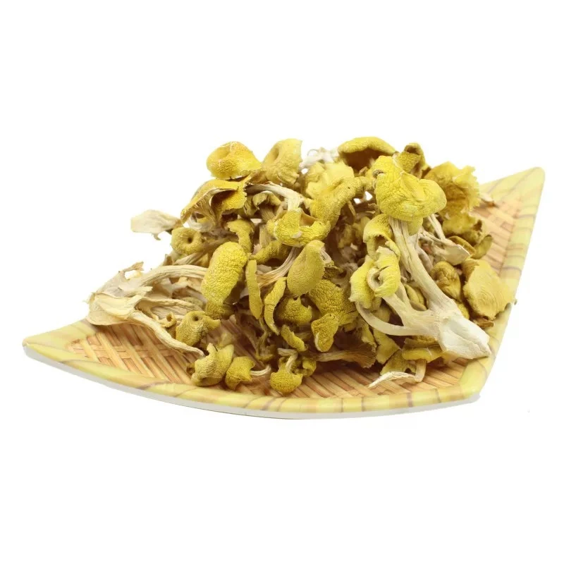 东北榆黄蘑干货【支持试吃一袋】味美鲜香煲汤佳品土特产
