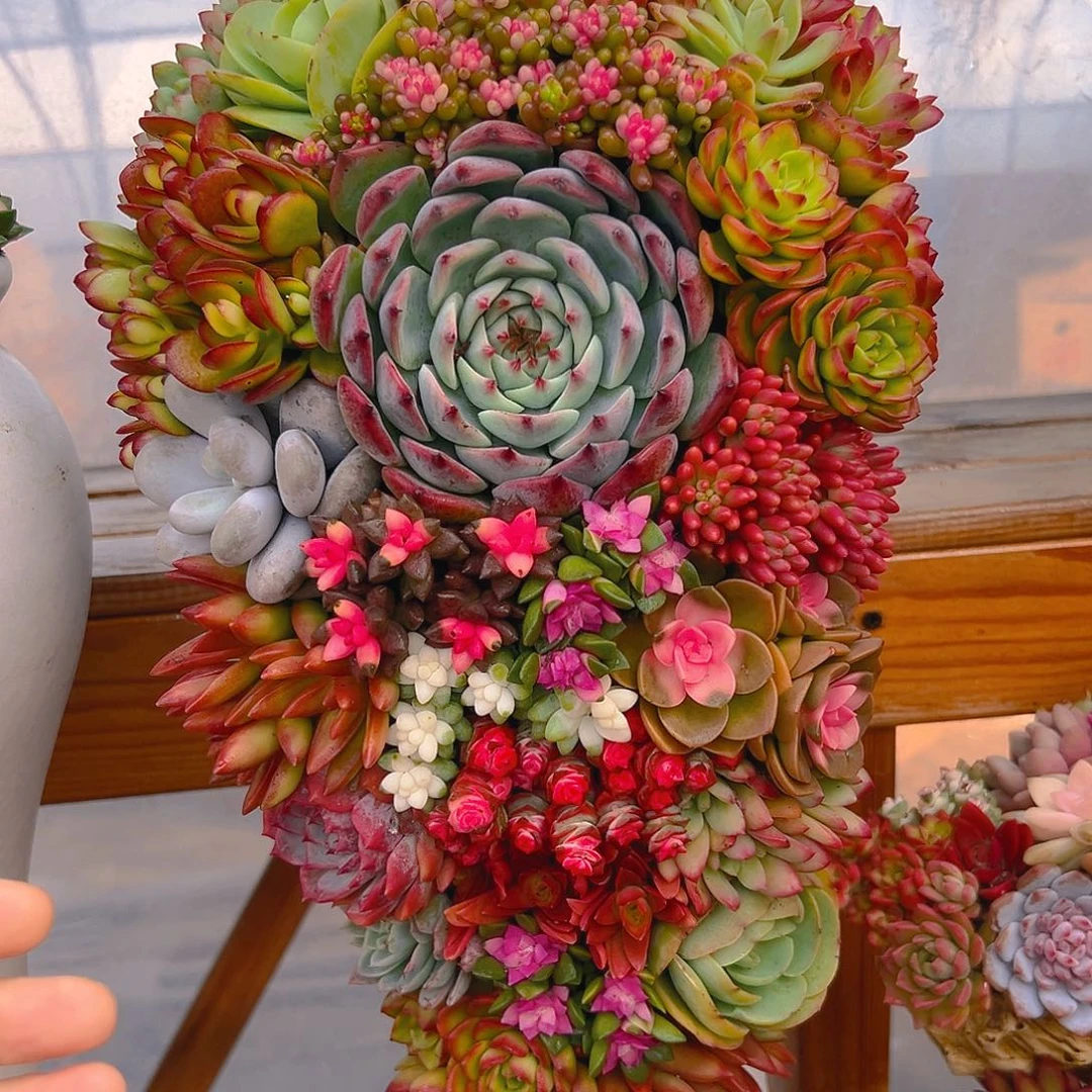 122大号组合花园全家福哦