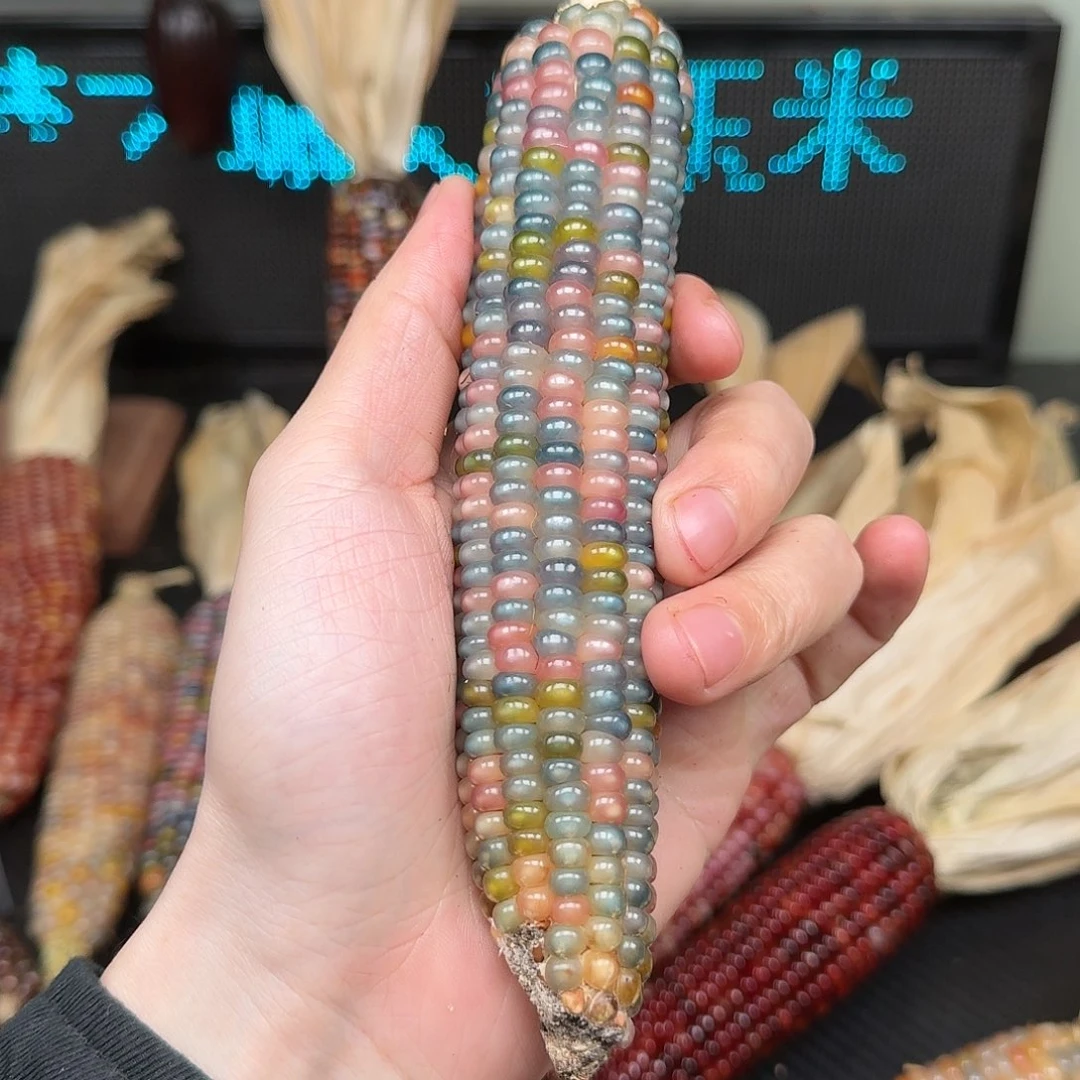 柏香籽/百香籽吊坠⭐*肉