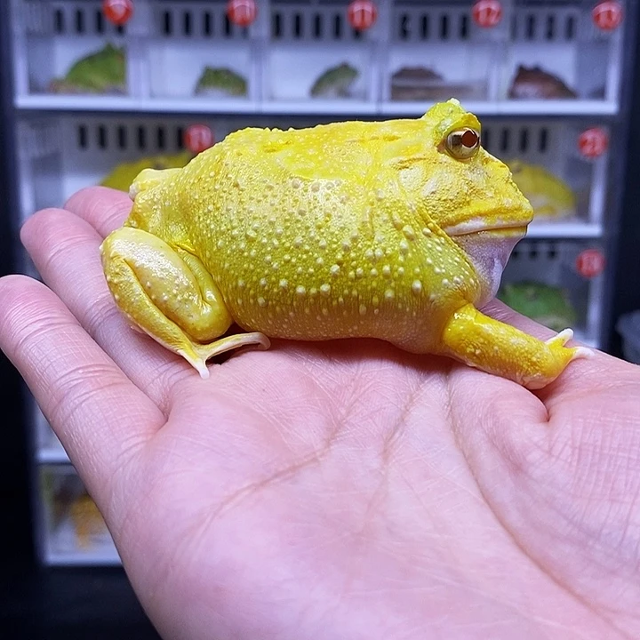 特价秒杀一切顺利