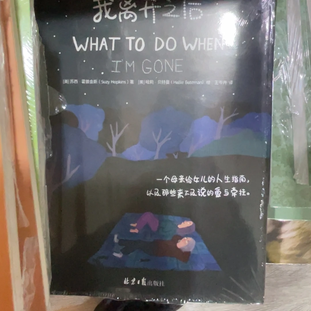 我离开之后精装一个