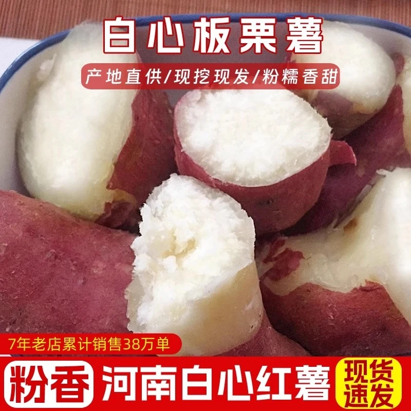 新鲜白心红薯牛奶白心板栗薯白瓤地瓜番薯白薯商薯19板栗红薯粉面