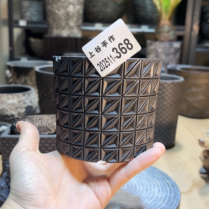 内口9.5高9.3块根植物盆