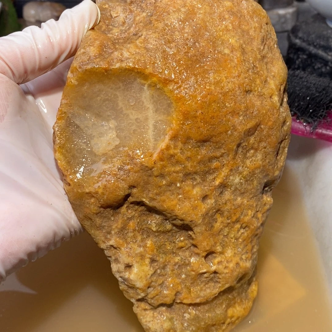 【闪购商品】硅化玉珊瑚玉未镶嵌