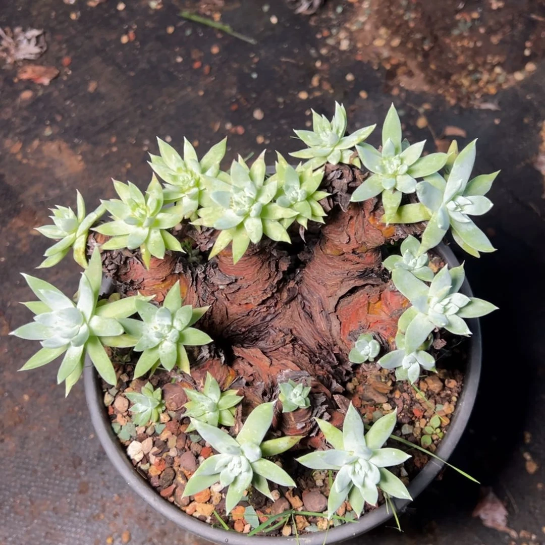 4638哈哈哈哈哈哈哈哈哈