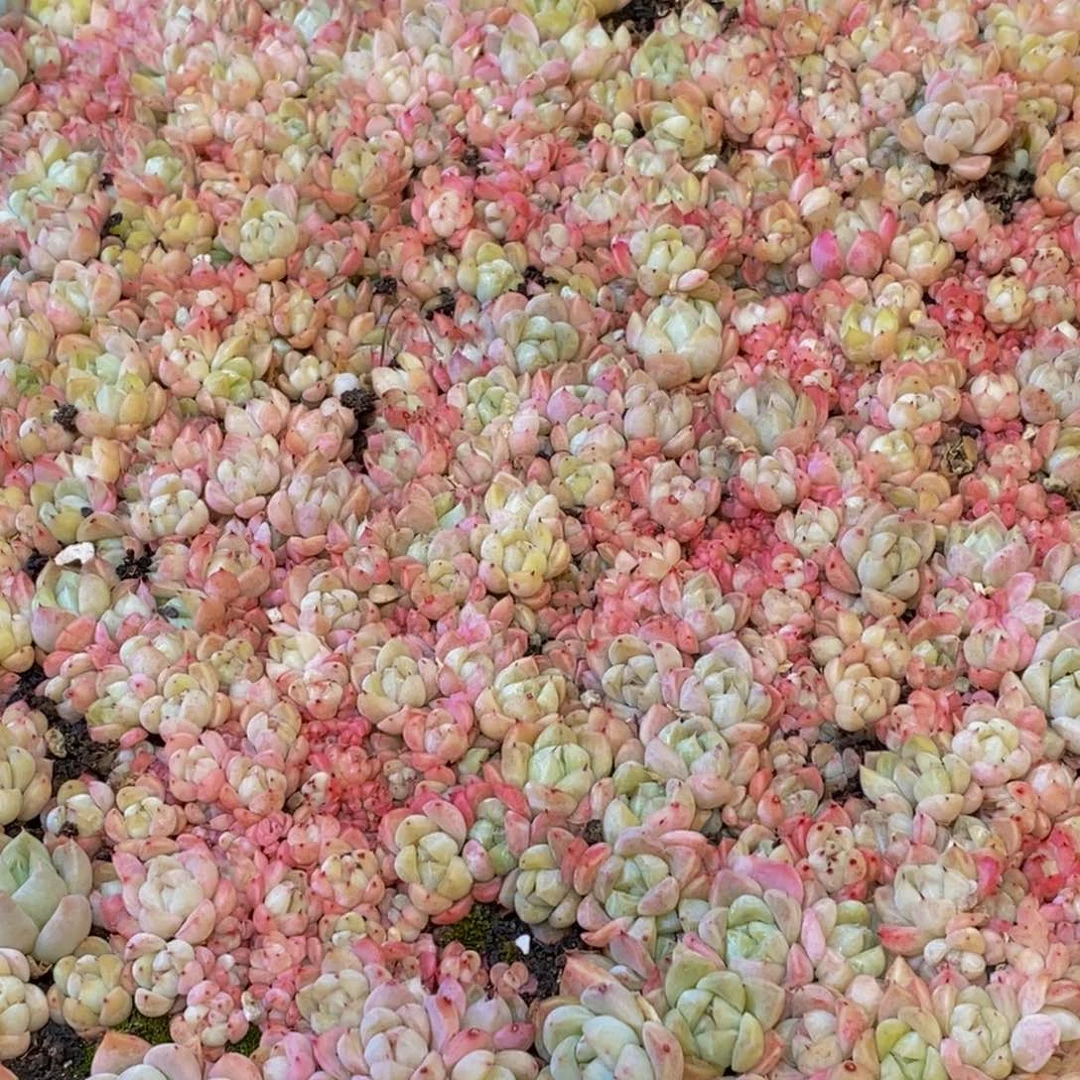 就*我364点人气爆棚的