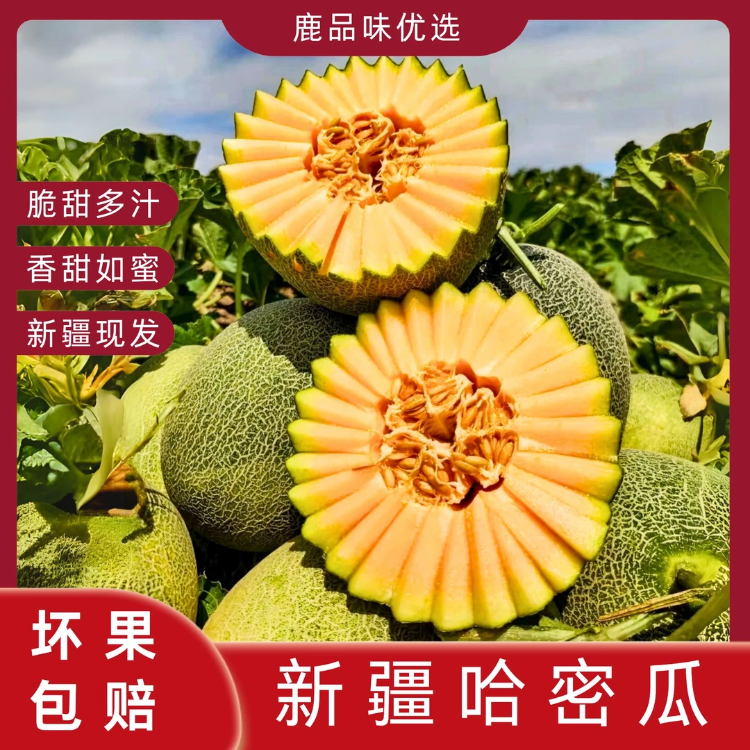 鹿品味新疆吐鲁番火焰山哈密瓜西州蜜25号当季新鲜脆甜多汁水果