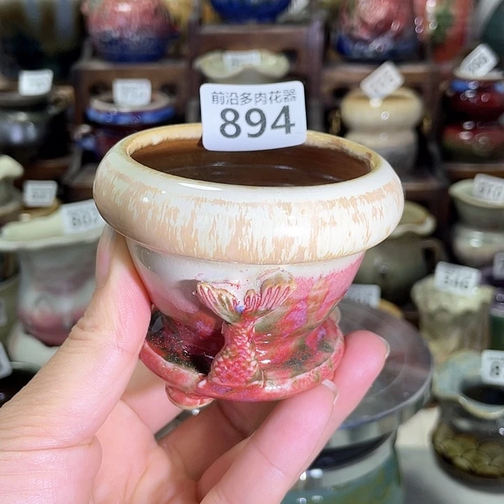 红陶内口径6高度6