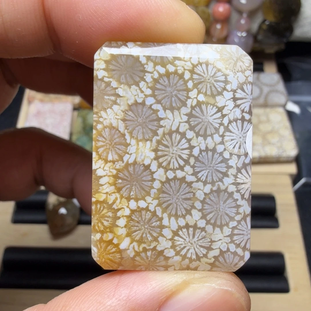 硅化玉未镶嵌天然有机玉石保真色