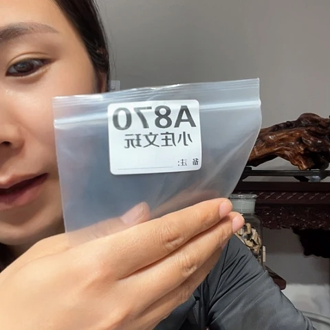 【闪购商品】香榧木870