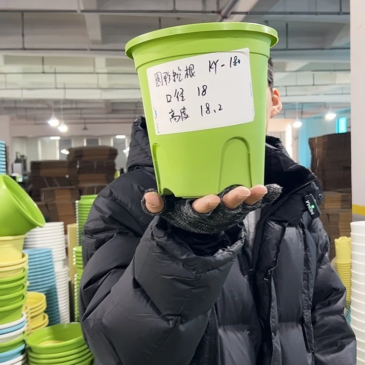 正品圆控口18高18果绿无托8只