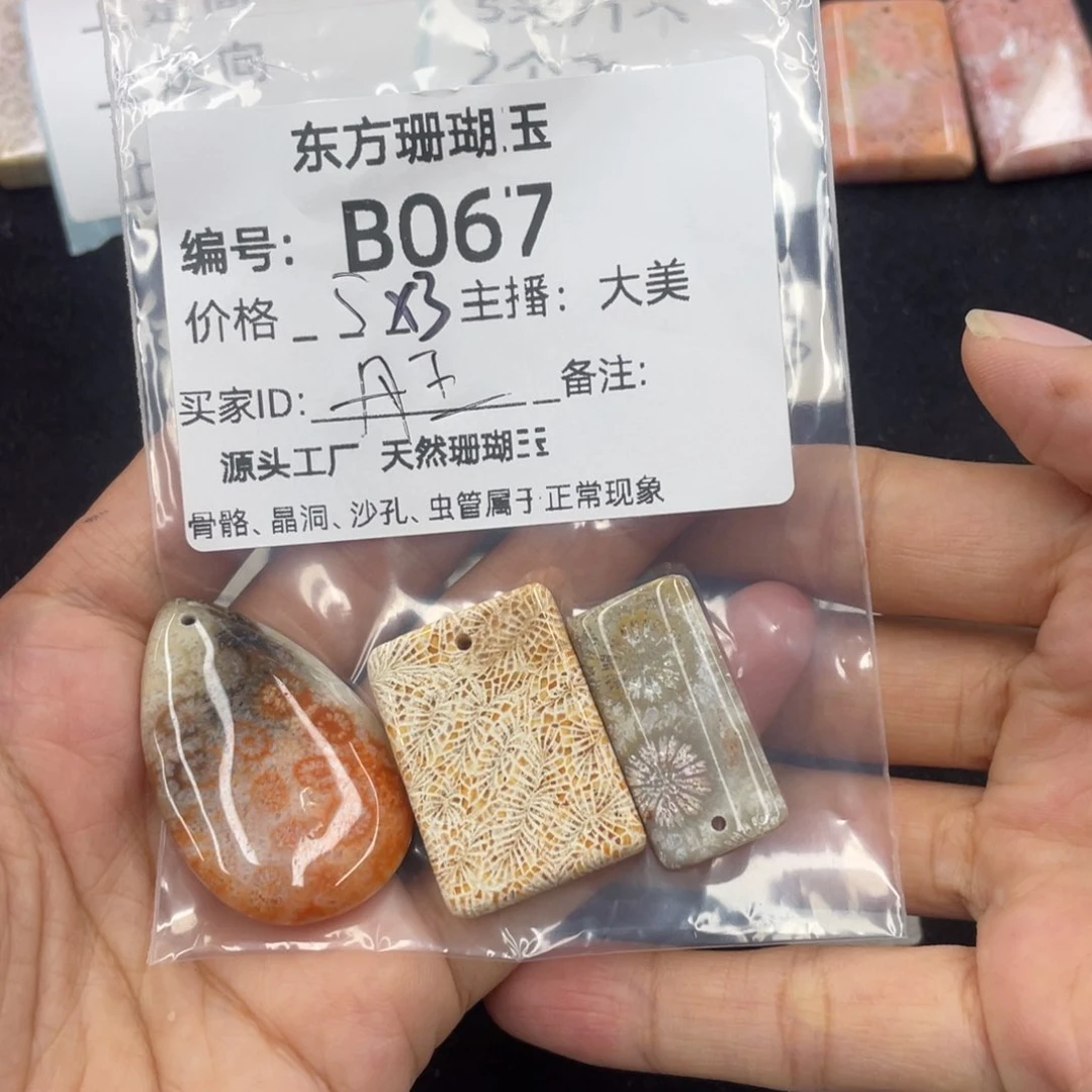 硅化珊瑚（珊瑚玉）合金颈饰丹****7