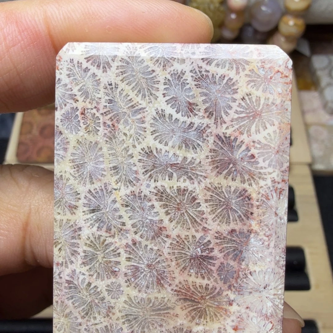 硅化玉未镶嵌纯天然色有机玉石保真色