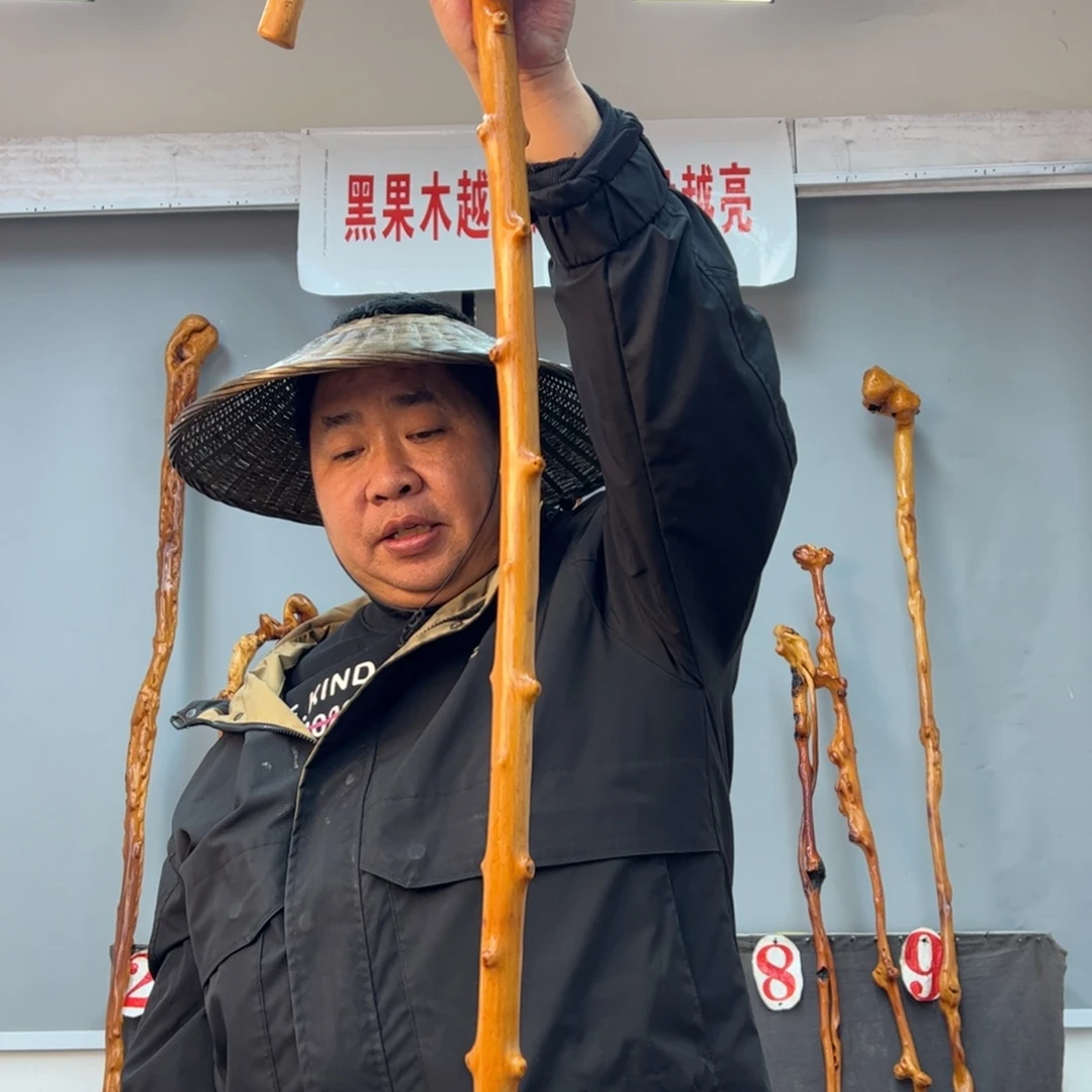 黑果木其他一*洞黑果木840