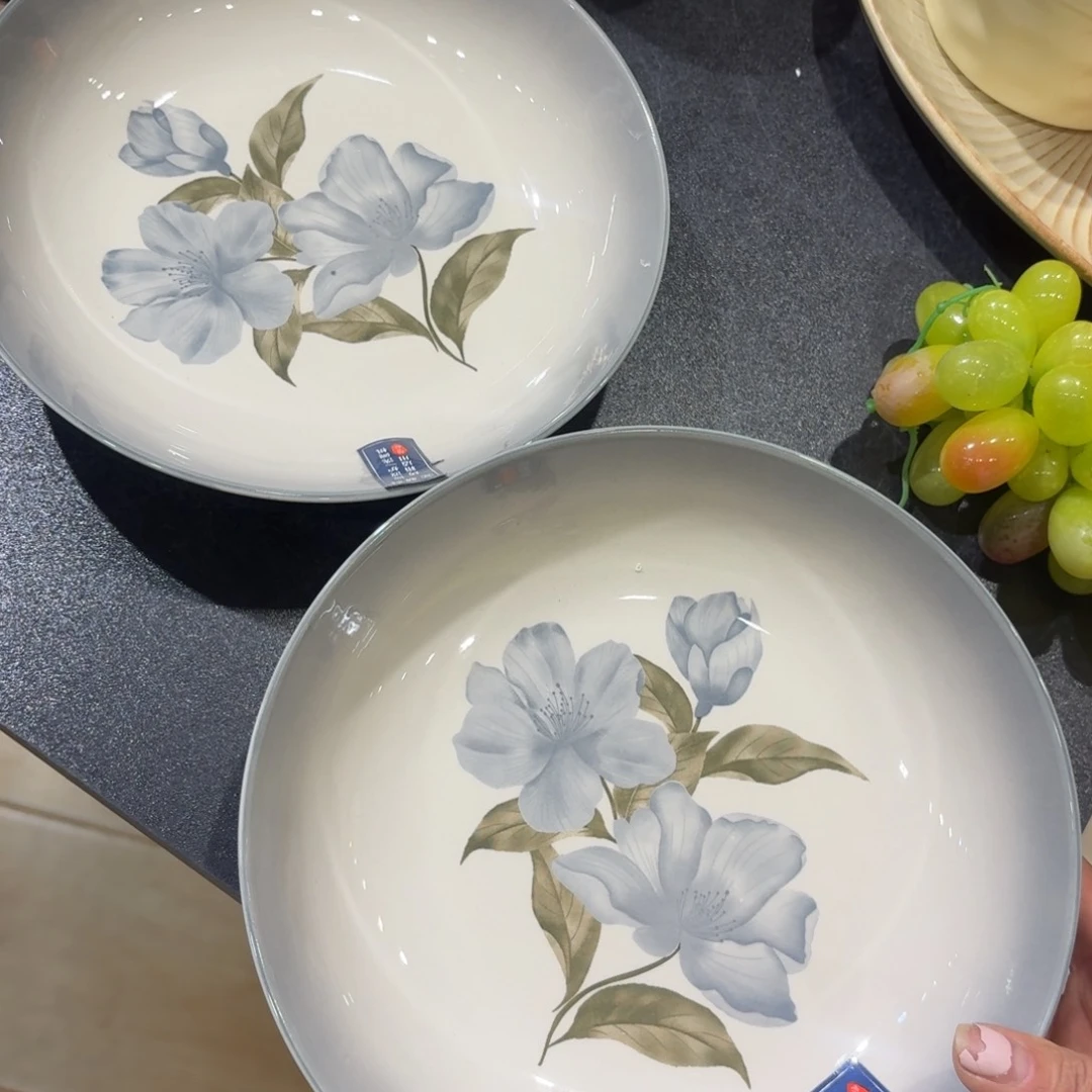 瓷两个8寸深盘两个
