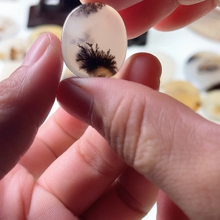 玛瑙/玉髓未镶嵌珠宝半成品