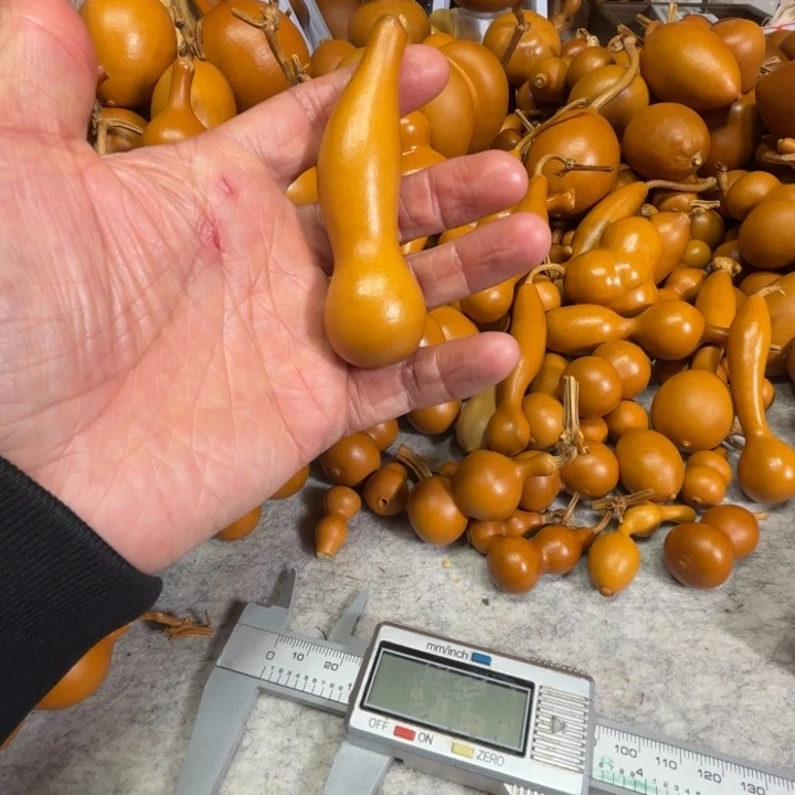 吉***^吉祥如意的一把本鸟葫芦吉祥如意