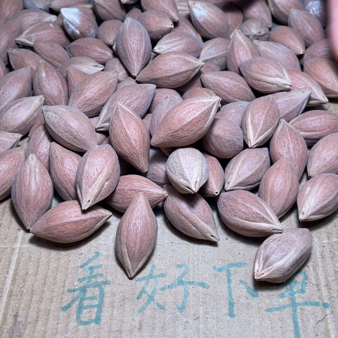 别***梦橄榄核吊坠不退不换wrtti