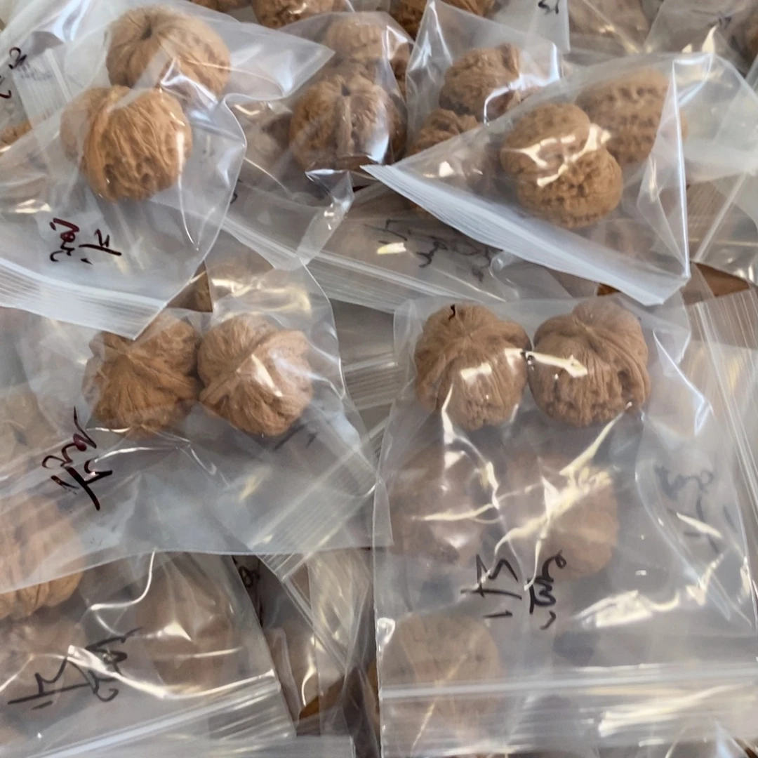 文玩核桃吊坠元宝有瑕疵