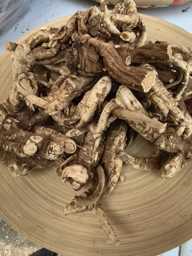 精选野当归头250g