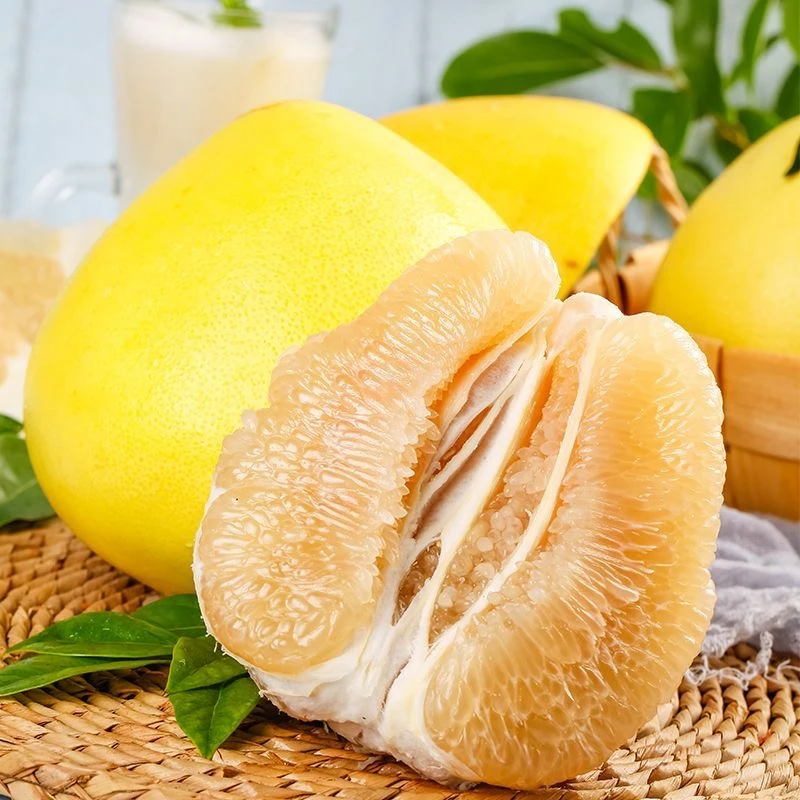 福建平和水晶白心蜜柚子30年老树果当季新鲜水果酸甜多汁琯溪蜜柚