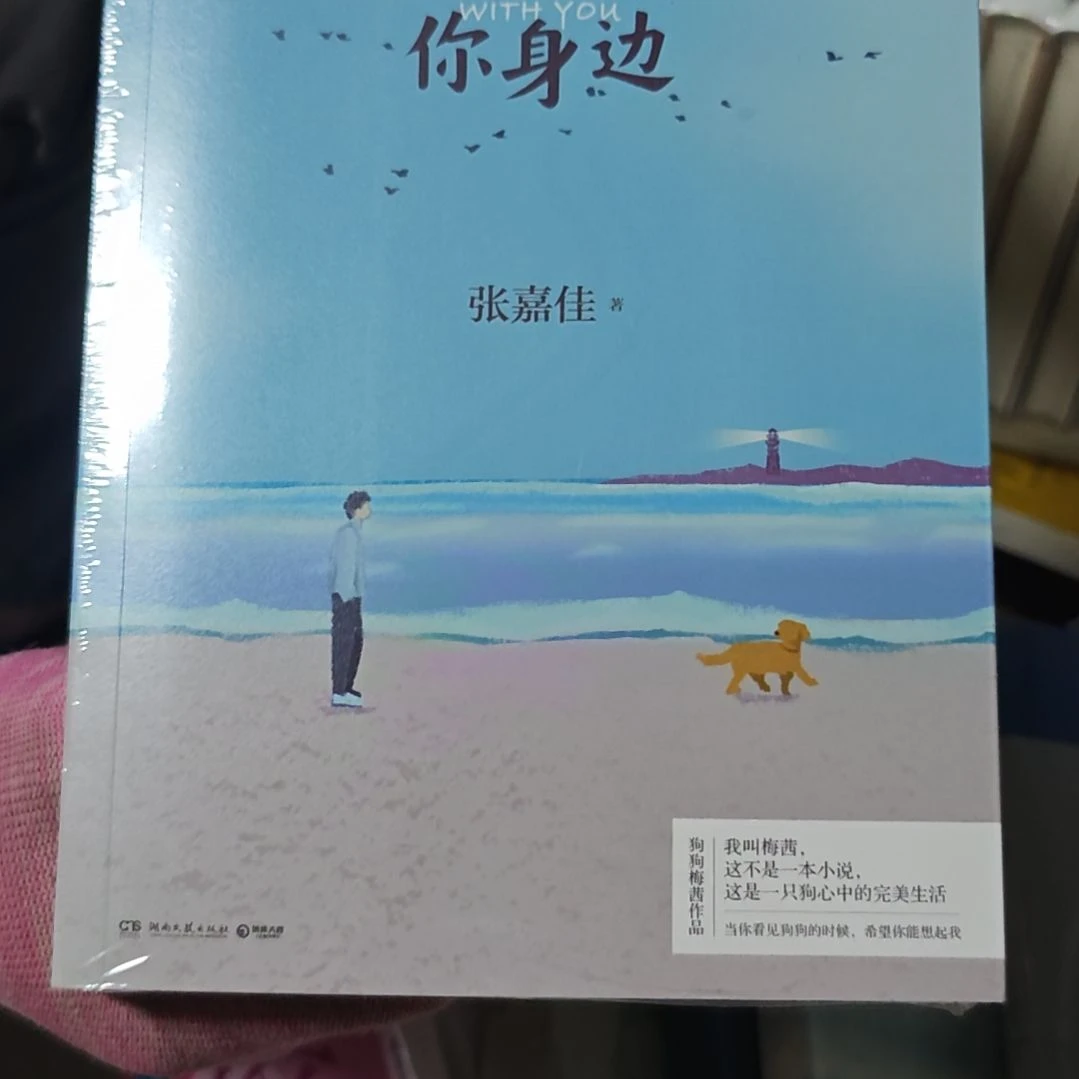 让我留在你身边平装库存书（张嘉佳）