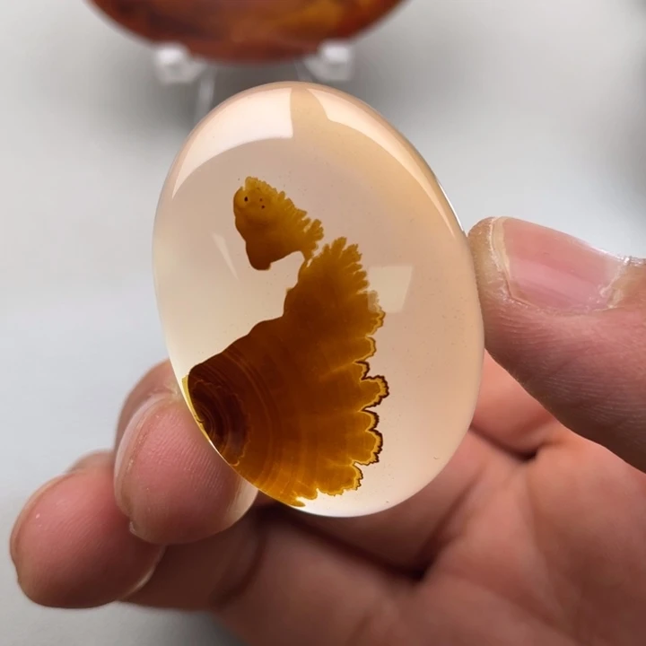 玛瑙/玉髓颈饰未镶嵌?****?