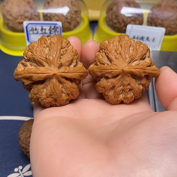 把件文玩核桃44大粗筋