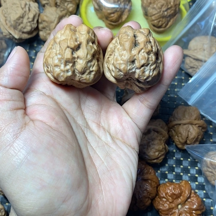 文玩核桃把件蛤蟆38