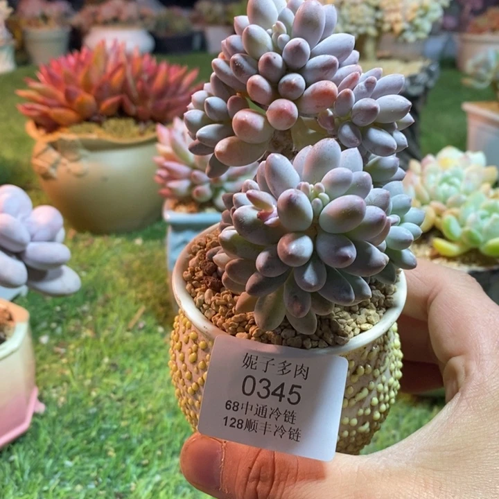 0345啊啊啊啊啊啊啊啊啊啊