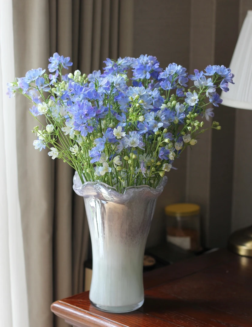 小飞燕 西藏新疆可发