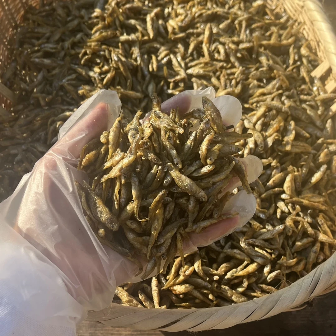 湖南农家淡水小鱼仔 火焙鱼