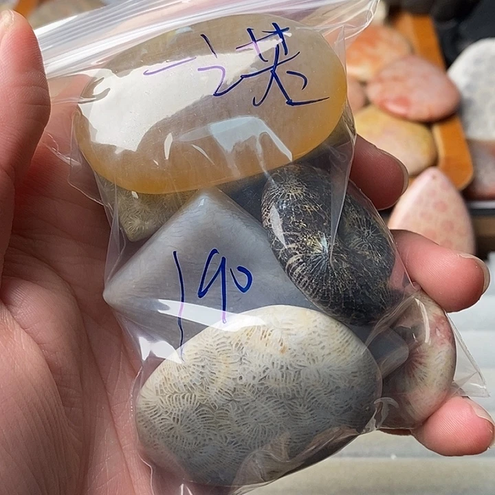 一***情硅化珊瑚未镶嵌颈饰