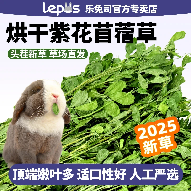 烘干苜蓿草干草兔子新草龙猫豚鼠宠物干牧草紫花粮草苜宿草兔子粮
